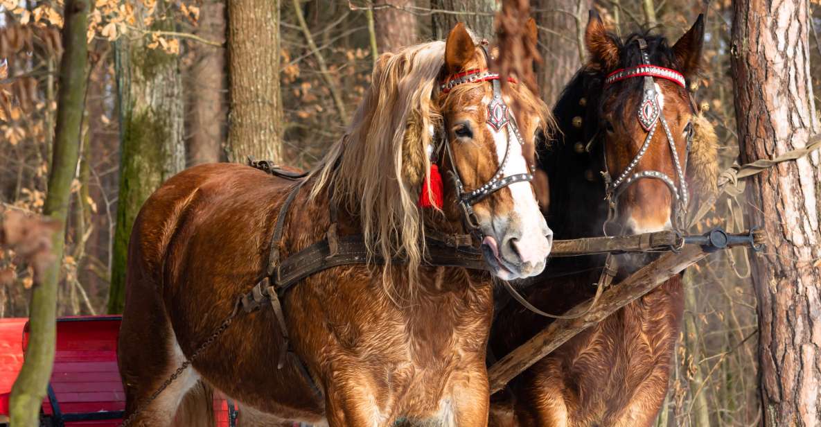 Zakopane: Horse-Drawn Rides With Local Guide & Food Tasting