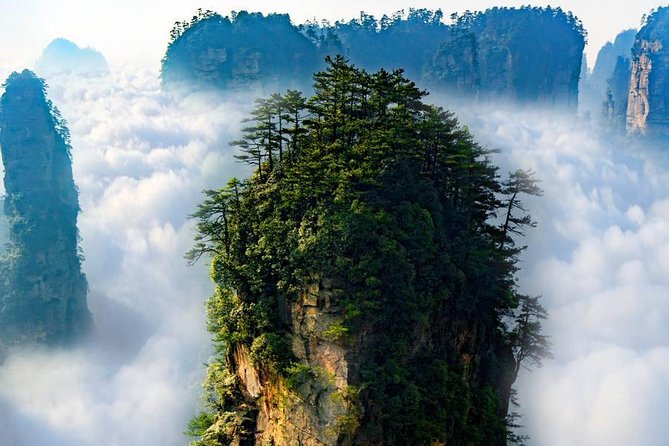 Zhangjiajie National Forest Park Guided Day Tour
