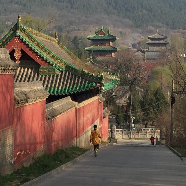 Zhengzhou: Private Tour to Shaolin Temple & Longmen Grottoes