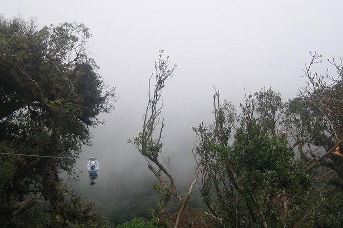 Zipline and Hanging Bridges Combo Tour in Monteverde Cloud Forest