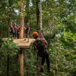 1 ziplining cape tribulation with treetops adventures Ziplining Cape Tribulation With Treetops Adventures
