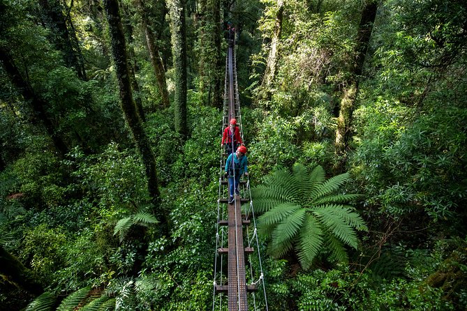 Ziplining Forest Adventure – The Original Canopy Tour Rotorua