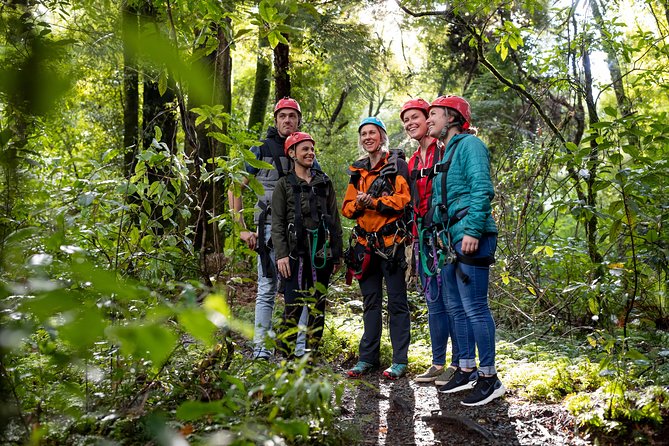 Ziplining Forest Experience – The Ultimate Canopy Tour Rotorua