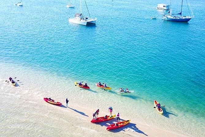 2.5hr Gold Coast Kayaking & Snorkelling Tour - Just The Basics