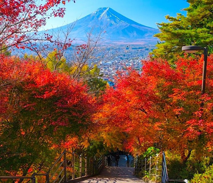 2-Day Private Tokyo MT Fuji and Hakone Tour With Guide - Key Points
