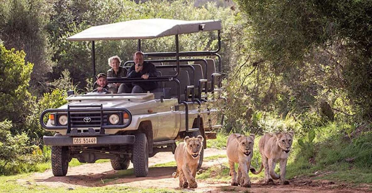 2 Day Small Group Cape Town: Garden Route Big 5 Safari Tour - Just The Basics