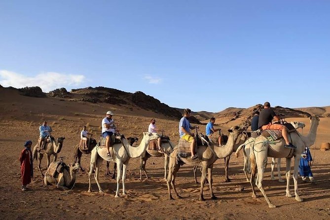 2-Day Zagora Tour From Marrakech Including the Atlas Mountains, Camel Trek and Desert Camp - Itinerary Highlights