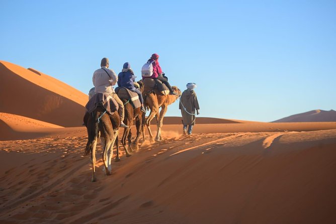 2 Days Fes Desert Trip Overnight Erg Chebbi End up Fes/Marrakech - Key Points