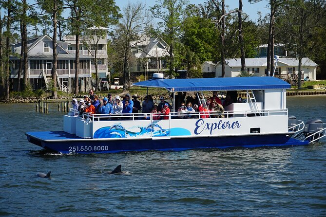 2-Hour Dolphin and Nature Eco Tour From Orange Beach - Just The Basics