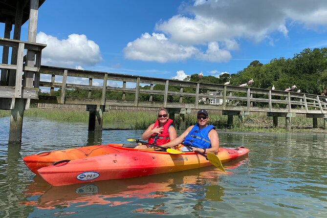 2-Hour Guided Kayak Nature Tour of Hilton Head - Just The Basics