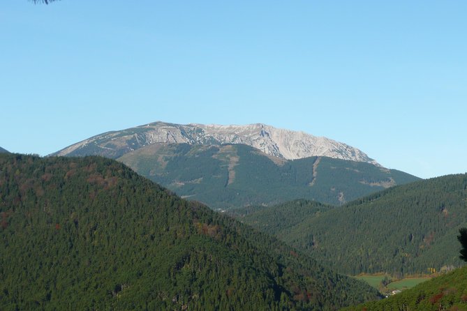 2 Hour Private Alpine Hiking, Gosing Mountain Vienna Tour - Key Points