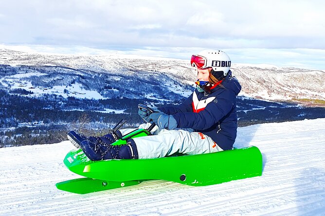 2-Hour Racing Toboggan at Dagali Fjellpark Near Geilo in Norway - Location and Overview