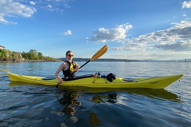 2 Hour Sea Kayak Tour on Oslofjord From Central Oslo - Tour Overview
