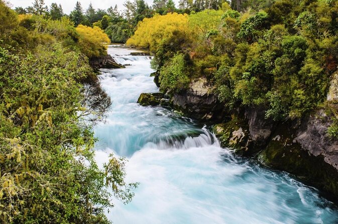 2-Hour Waikato River Guided Kayak Trip From Taupo - Key Points