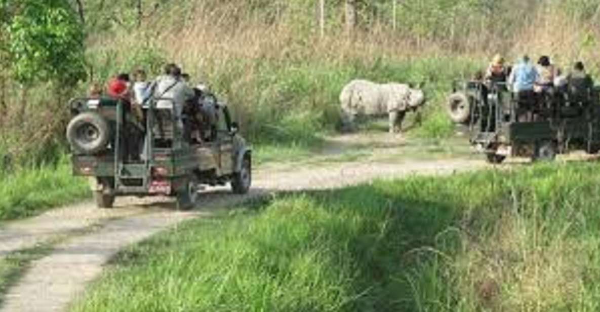 2 N 3 Days Chitwan Tour Package From Pokhara or Kathmandu - Key Points