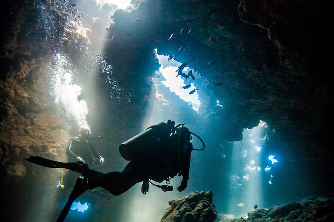 2 Tank Lanai Cathedral Dive - Just The Basics