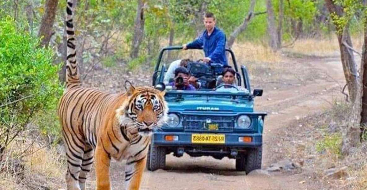 06 Days Golden Triangle Tour With Ranthambore Safari - Cancellation Policy and Reservation Details