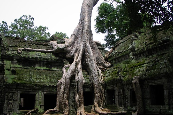 1-Day Amazing Angkor Wat Tour With Sunrise & All Interesting Major Temples - Customer Feedback and Reviews