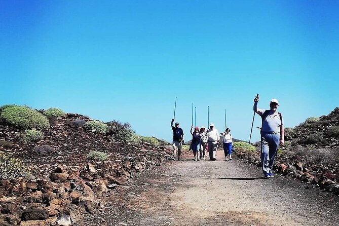 1 Day Hiking Adventure in Isla Lobos - Meeting and Pickup