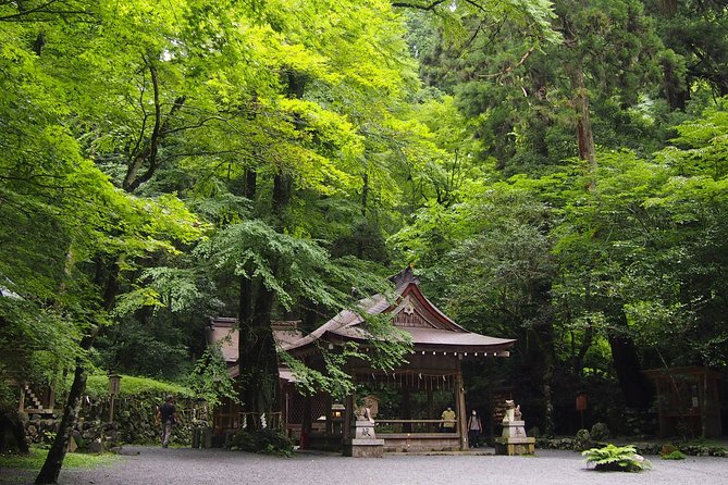 1 Day Hiking Tour in the Mountains of Kyoto - Itinerary Details