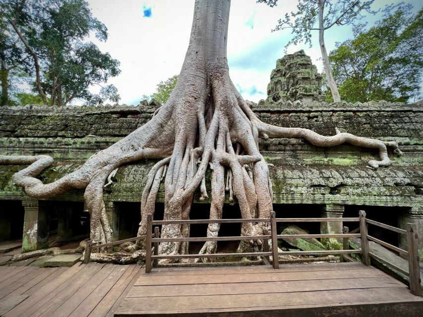 1 Day Private Group of Angkor Wat Tour With Tuk Tuk Only - Experience Highlights