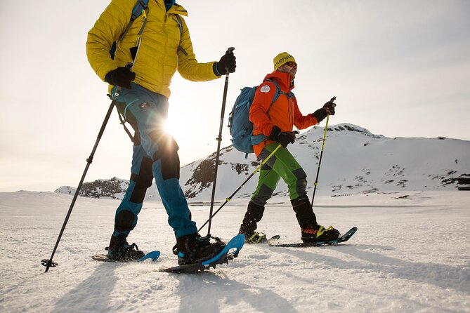 1 Day Snowcoach and Snowshoe Adventure in Jotunheimen - Snowshoeing Experience Details