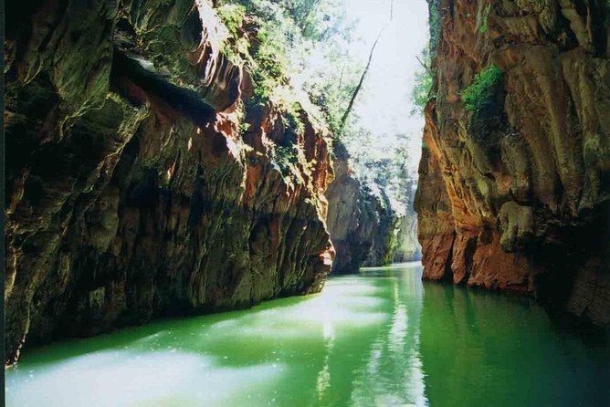 1 Day Stone Forest & Jiuxiang Cave Tour - Additional Information