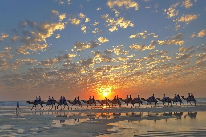 1 Hour Broome Sunset Camel Tour - Tour Logistics