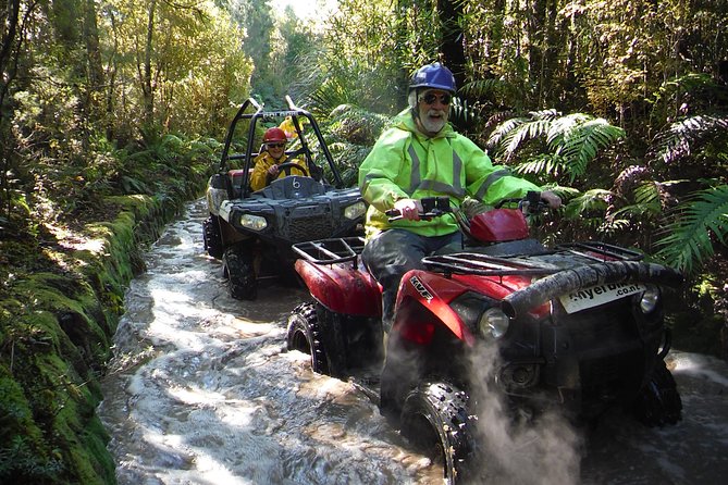 1 Hour Enchanted Forest Track - QUADS - Track Highlights