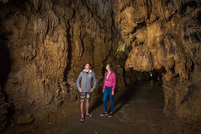 1-Hour Guided Tour of Aranui Cave Waitomo - Meeting Point and Departure