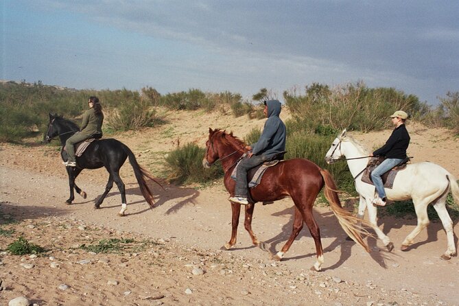 1 Hour Horse Ride on the Beach of Essaouira - Inclusions and Equipment Provided