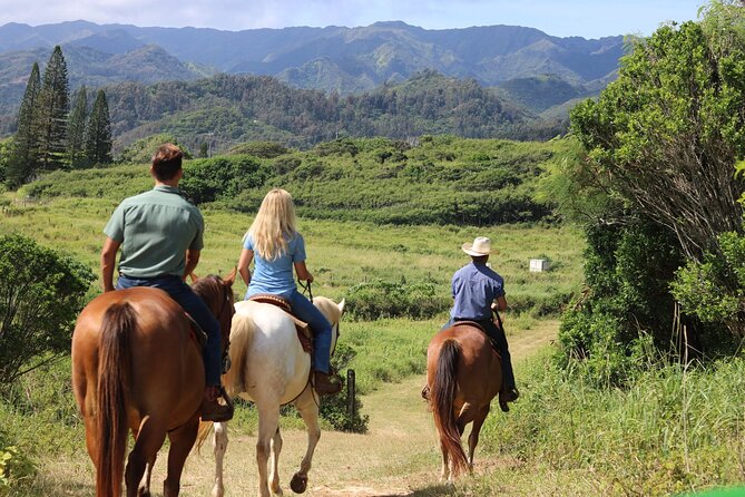 1 Hour Scenic Horseback Ride - Inclusions