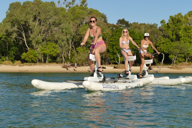 1 Hour Self Guided Water Bike Tour of the Noosa River - Inclusions and Equipment