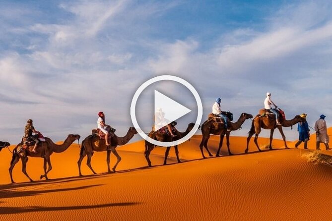 1 Night Camel Trekking in Merzouga - Cancellation Policy