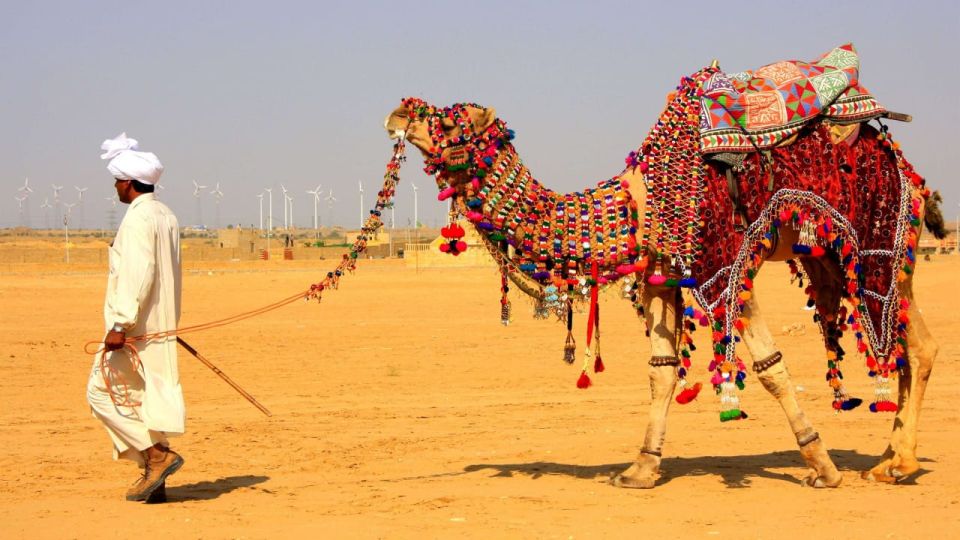 11 Days Tour Delhi, Rajasthan & Ranthambore Safari By Car - Tour Highlights and Experiences