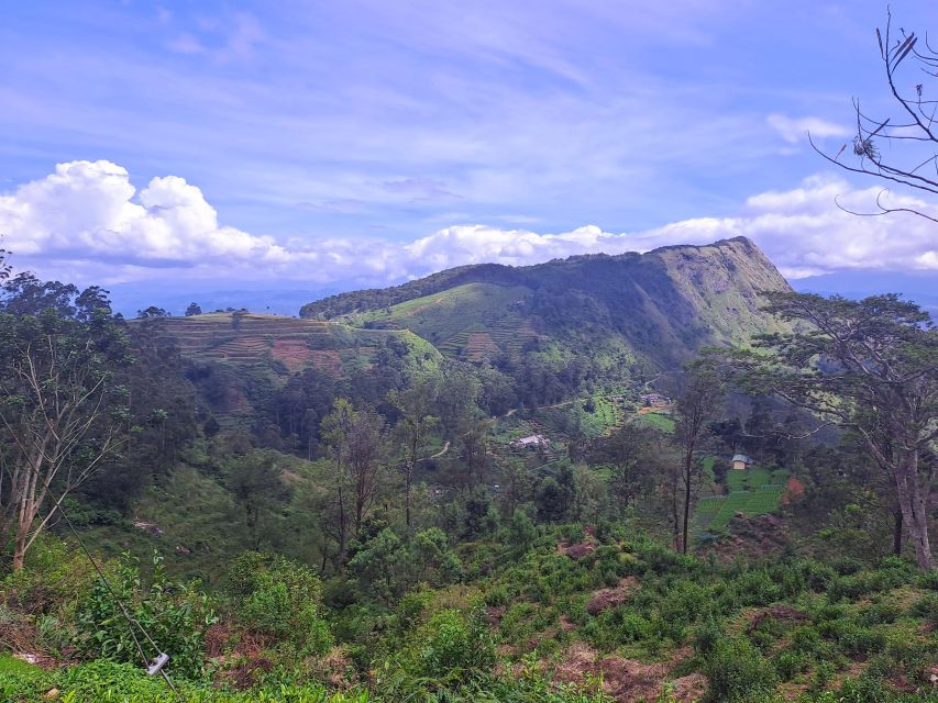 14 Days Tour Package Sri Lanka - Day 02: Sigiriya Lion Rock Exploration