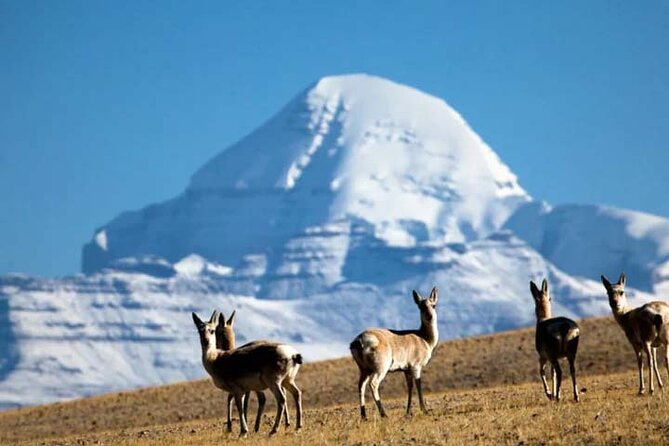 15 Days Lhasa to Kailash, Manasarova (trekking)Small Group Tour - Inclusions and Exclusions