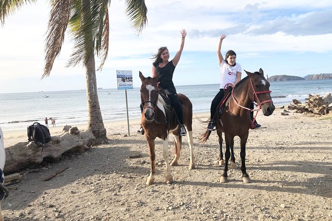 1,5 Hours Private Horseback Riding Tour in Playa Conchal - Wildlife Spotting Opportunities