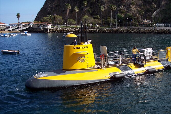 15 Minute Semi-Submarine Tour of Catalina Island From Avalon - Location Details