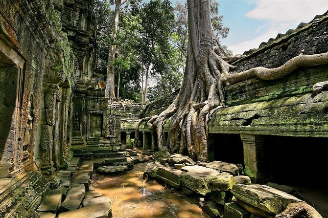 1day Private Tour All Main Temple in Angkor,Sunset at Tonlesap Floating Village - Inclusions and Exclusions