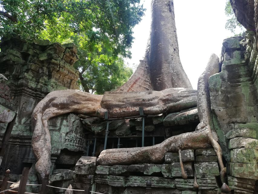 2-Day Angkor Complex; Beng Mealea & Kompong Phluk Village - Day 1 Itinerary