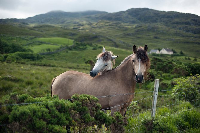 2-Day Connemara and Galway Bay Rail Tour From Dublin - Logistics