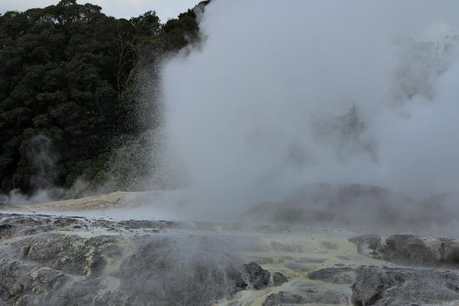 2-Day Hobbiton, Rotorua, Waitomo Caves Tour From Auckland With Accommodation - Traveler Insights and Recommendations