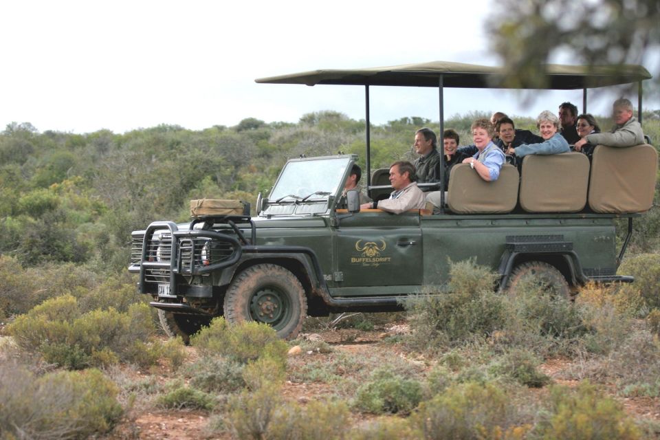 2 Day Small Group Cape Town: Garden Route Big 5 Safari Tour - Itinerary Highlights and Activities