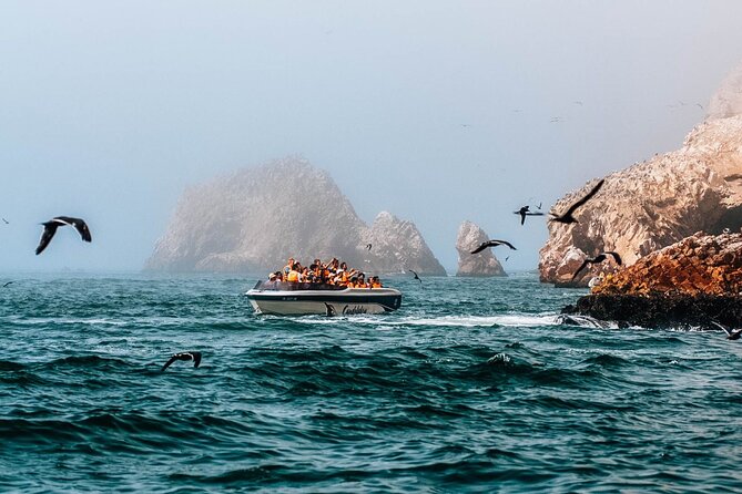 2 Day Tour From Lima: Paracas, Ballestas Island and Huacachina - Tour Inclusions and Exclusions