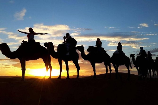 2-Day Zagora Desert Tour From Marrakech - Pickup and Transportation Details