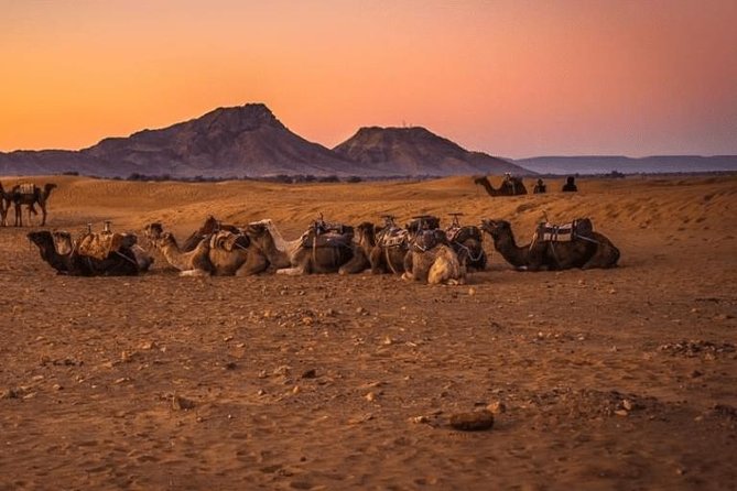 2 Days 1 Night Amazing Zagora Desert Tour From Marrakech - Booking Information