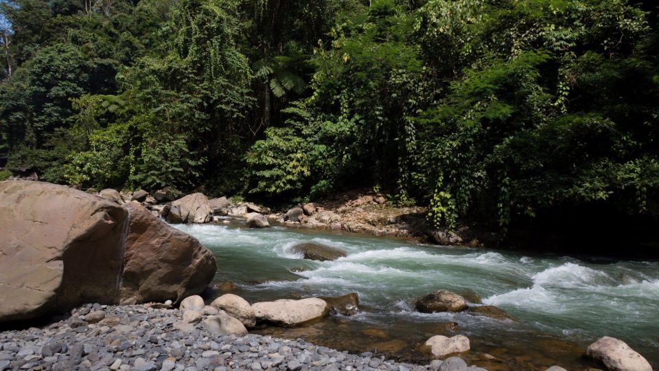 2 Days 1 Night Orangutan Trek Bukit Lawang - Experience Highlights