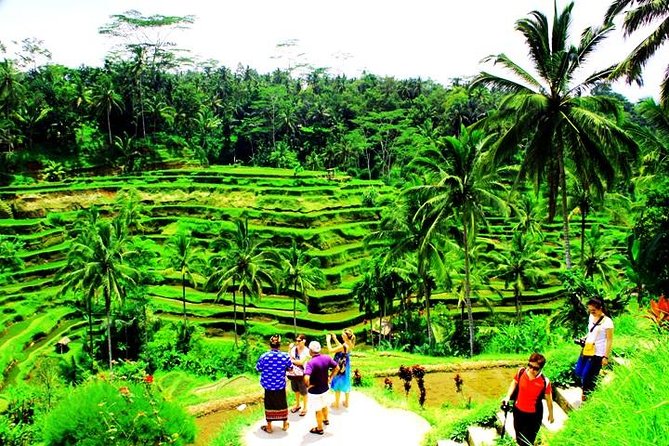 2 Days Best of Bali Famous Tour Packages - Inclusions and Exclusions