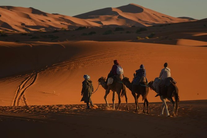 2 Days Fes Desert Trip Overnight Erg Chebbi End up Fes/Marrakech - Essential Trip Requirements